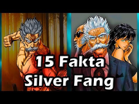 15 Fakta Menarik Dari Silver Fang - One Punch Man