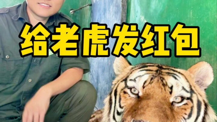เสือได้อั่งเปากันทุกคน แล้วคุณล่ะ?