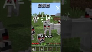 Pov, Ketika Albert Einstein di kejar Wolf Di Minecraft..