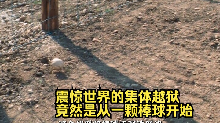 การแหกคุกหมู่ที่เขย่าวงการโลกกลับเริ่มต้นจากลูกเบสบอลเพียงลูกเดียว!