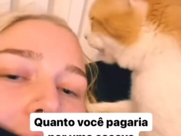 Kumpulan Kucing Lucu dari Luar Negeri (2)