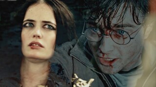 [Voldemort x Lin Daiyu] How I wish I could see you again (including unilateral gender change)