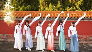 【LoveMuses团】采薇✿昔我往矣 杨柳依依✿ 舞剧《孔子》节选古典舞翻跳