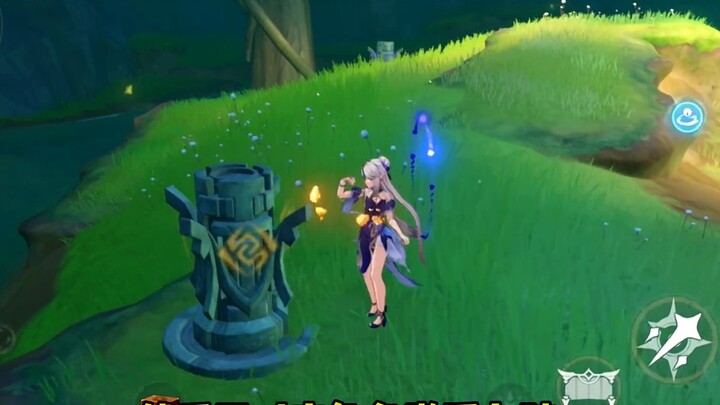 Could this be the temporary residence permit of the Sumeru grass country?