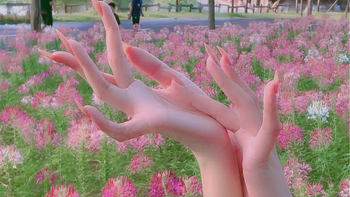 蜜加原创手指舞《月光》