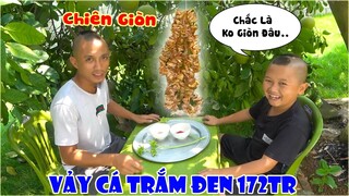 Vảy Cá Trắm Đen Siêu Khủng 172tr Chiên Giòn - Thử Xem Có Gì Khác Biệt Với Vảy Cá Bình Thường Không