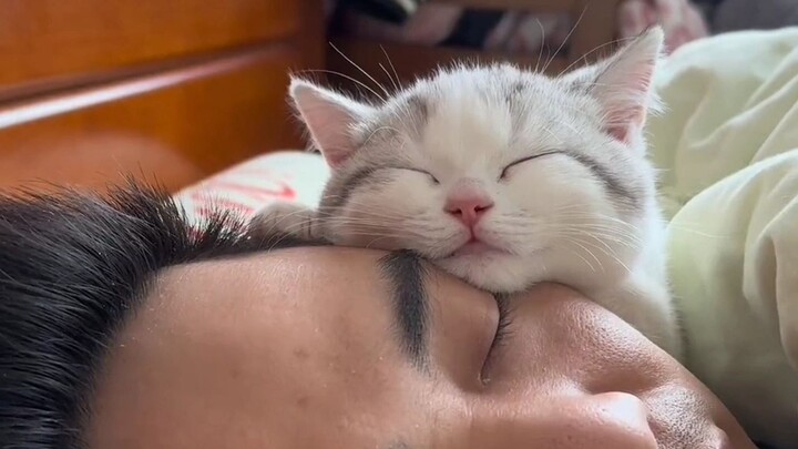 "الطالب المحتاج بشكل خاص"