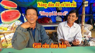 Trực tiếp tại ruộng Giá dưa hấu tăng trở lại người dân trồng dưa hấu đã có lời