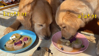 [Dogs Clip] น้องสาวกินเร็วมากเลย  รีบอะไรขนาดนี้