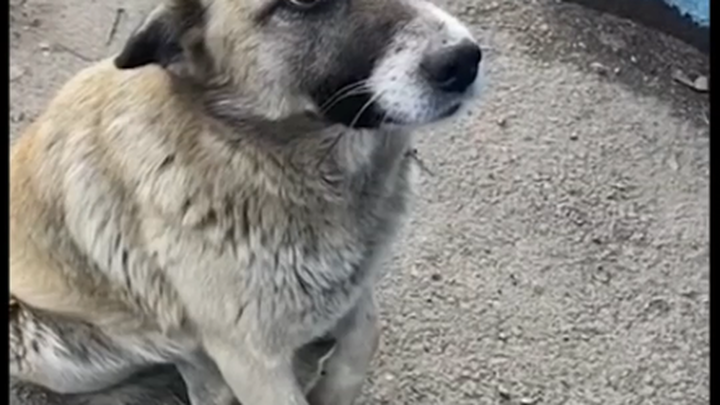 BYD ให้ฉันจับหน่อยได้มั้ย จะตายเหรอ?