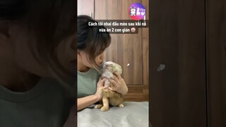 Cách trị mấy đứa hay nhai mấy con gián 😂 #Shorts #Yeulu #Yeuluofficial