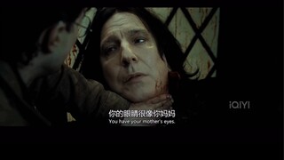 致为爱奉献一生的人一一西弗勒斯·斯内普Severus· Snape
