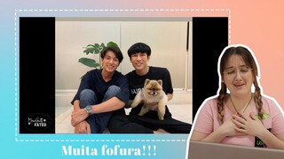 REAGINDO À MEWGULF | PARTE 10