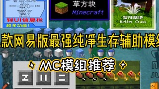 «نوصي بحفظه» توصيات بإضافات مساعدة للبقاء النقي في إصدار نت إيز من ماينكرافت