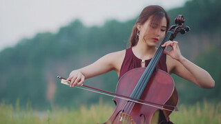 Cover ca khúc "Speechless" với đàn cello