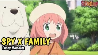 Anya Bond Pinguin!! Full Best moments season 2, Loid and Yor Forger - SPY X FAMILY