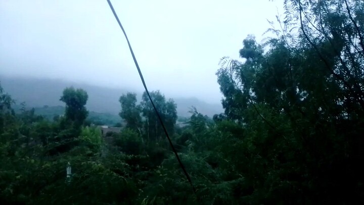in the rain 🌧️☔🌲