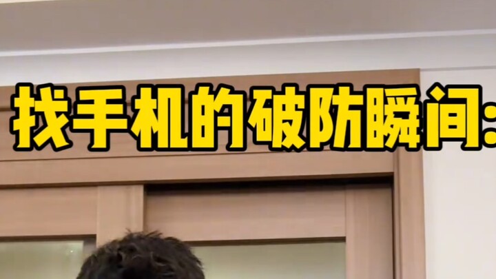 爱玩躲猫猫的手机