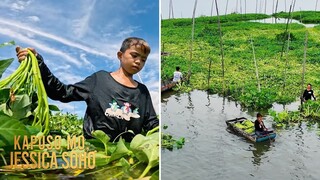 Bata, nangunguha ng kangkong para makatulong sa pamillya | Kapuso Mo, Jessica Soho