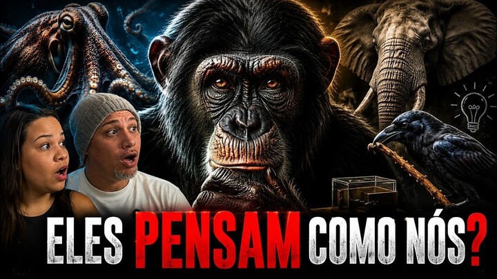 世界上最聪明的动物 🧠 | OS ANIMAIS MAIS INTELIGENTES DO MUNDO