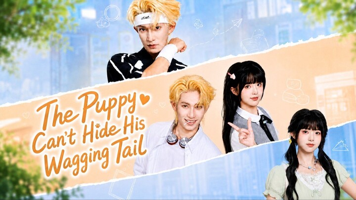 小狗尾巴藏不住 | The Puppy Can't Hide His Wagging Tail