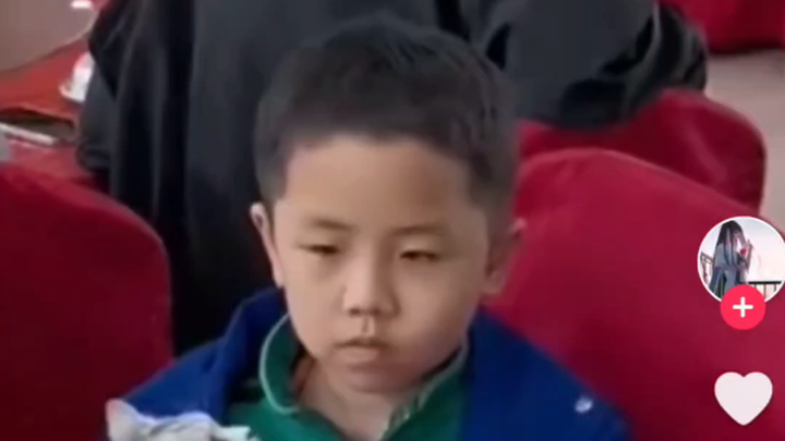 《TikTok》Watching Chinese Kid Take His Pet Cat to a Feast—Comments from Overseas Platforms