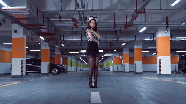 【Fu Sheng】AOA-Catwalk Light and Pretty 🐱｜Newcomer Contribution～