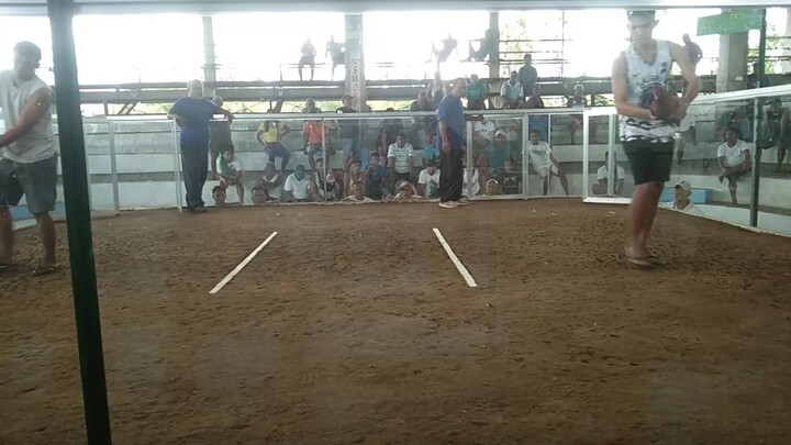 3 cock  1W1LNF score