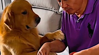 “百善孝为先” "狗狗是人类最忠诚的朋友 "