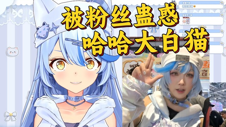 【Elsa】Coaxed by fans to become an official cosplayer dressed as a big white cat