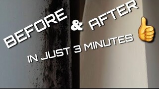 How to clean muffa in just 3 minutes