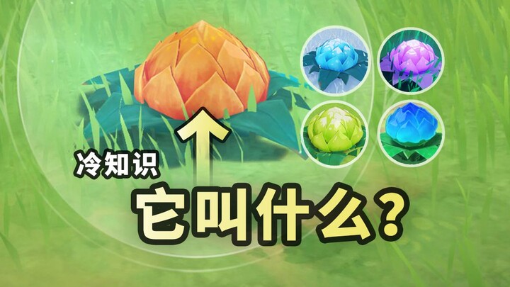 99.9% ของผู้เล่นเก็นชินอิมแพกต์ไม่รู้ว่ามันเรียกว่าอะไร?