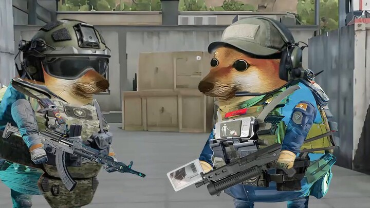 Trong thời gian bảo vệ người mới, tôi đã gặp phải thói quen của một người bạn