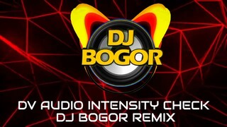 DV AUDIO INTENSITY CHECK | DJ BOGOR