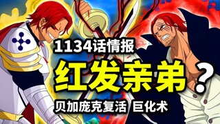 海贼王1134话情报：红发亲兄弟登场？巨大化技术公布！贝加庞克本体复活！
