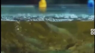全部 ｜ 离婚的事情
