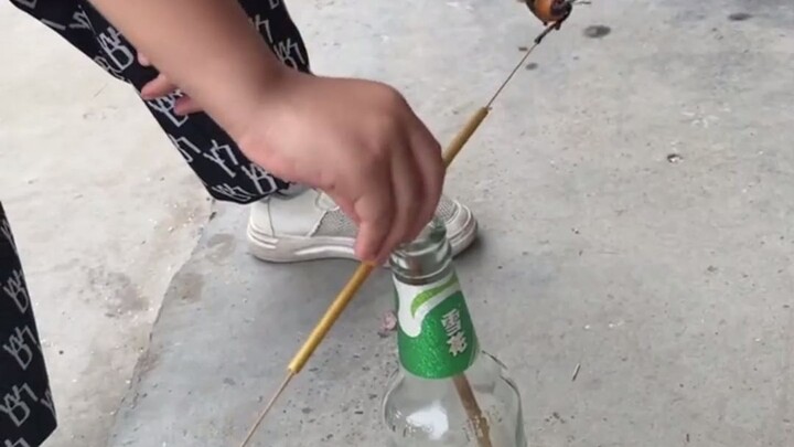 Villagers Make Toys from Insects