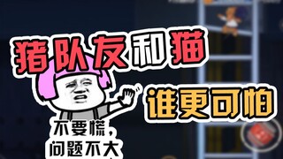 Tom and Jerry Mobile Game: Doni leads a duo of novices, isn’t this pirate Jerry so joyful?