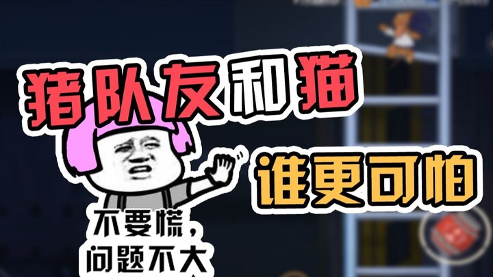 Tom and Jerry Mobile Game: Doni leads a duo of novices, isn’t this pirate Jerry so joyful?