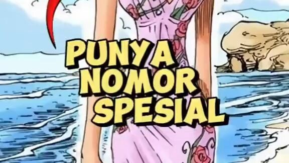 Kru Mugiwara Punya Nomor Spesial?!?!?!