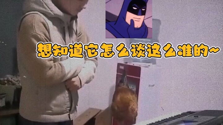 I knew my big brother was so talented—不仅能唱跳、说 rap、打篮球,还能弹钢琴!