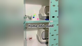 Mọi người yên tâm nha mèo cat