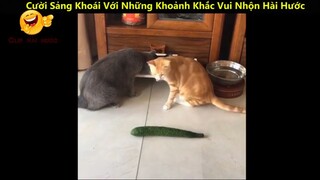 Cười Sảng Khoái Với Những Khoảnh Khắc Vui Nhộn Hài Hước Và Lầy Lội Nhất p7