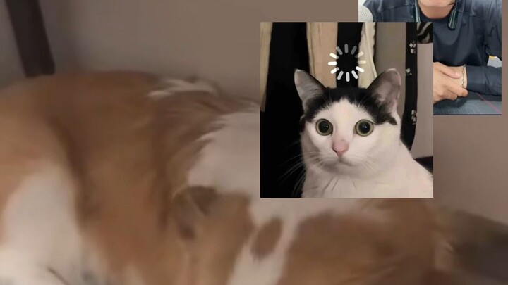 Người phụ nữ này chỉ dùng một câu nói đã khiến Phan Hồng bị "đơ máy".