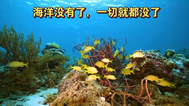 海洋没有了，一切就都没了