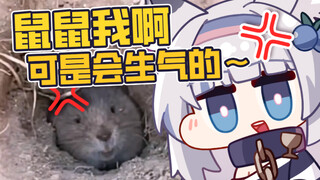 鼠鼠我啊，可是会生气的！！！！