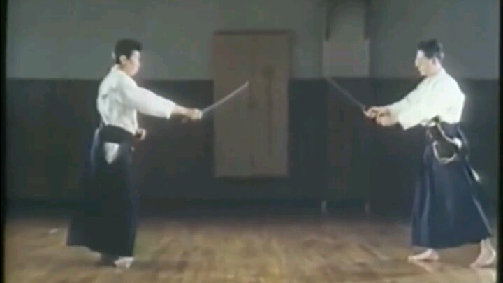 Hontai Yoshin Ryu Jujutsu