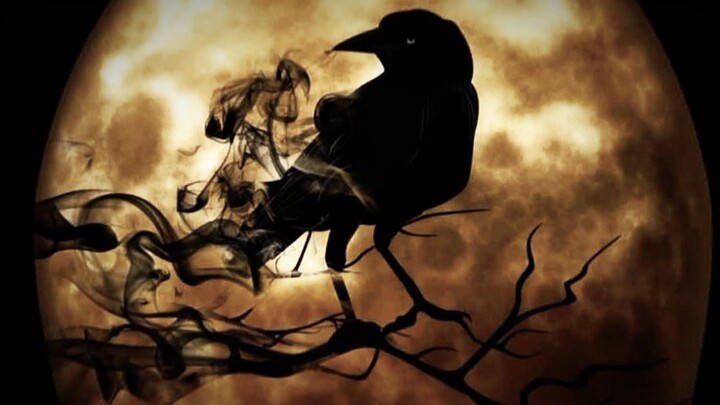 gagak bukan sembarang gagak brader😎