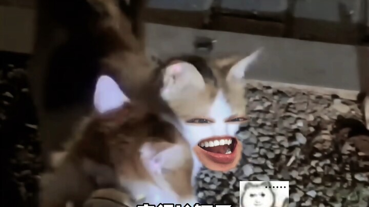 Mother's worries have turned into a semi-trailer.