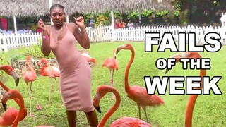 Can you watch this Fail Compilation without laughing? Give it a try!